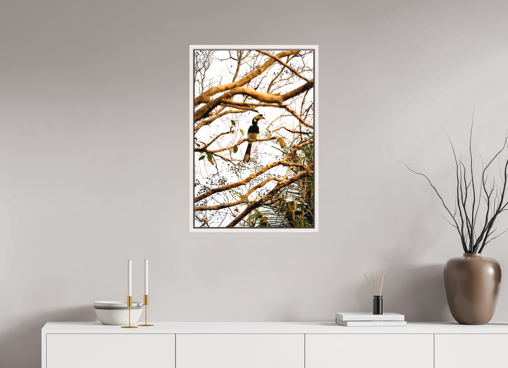 50 x 75 cm, Matte Canvas 15 mm Frame Hornbill at Rest