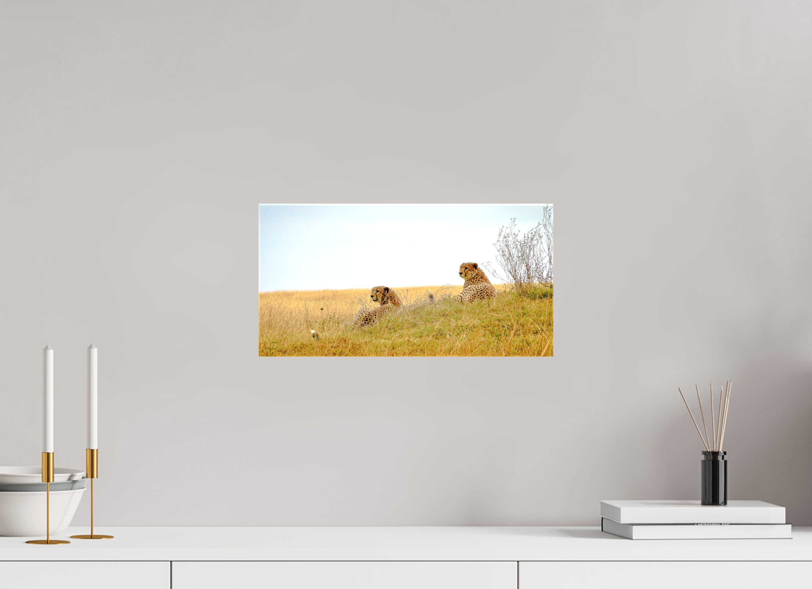 39.6 x 20 cm, Matte Canvas on Stretcher Frame Cheetah Connection