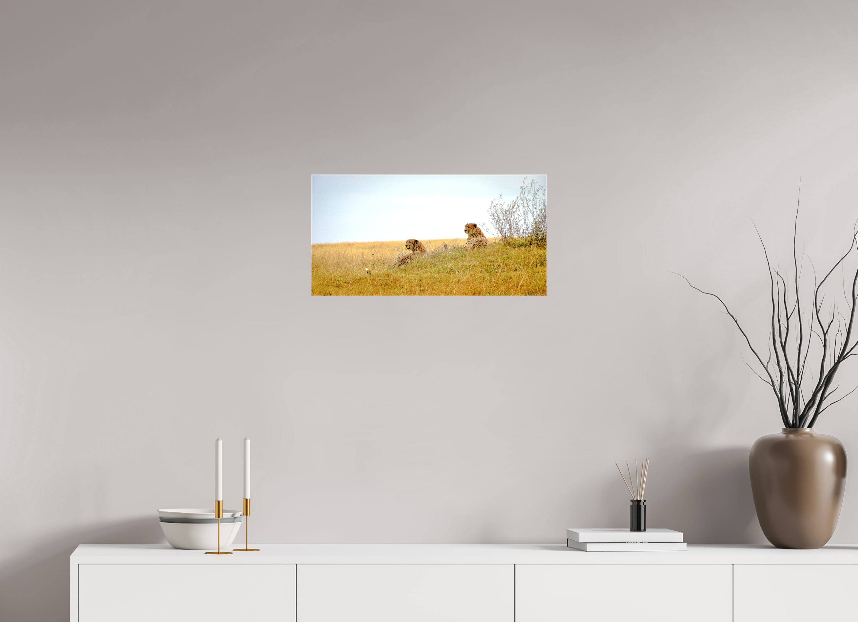 59.3 x 30 cm, Canvases Unframed Cheetah Connection