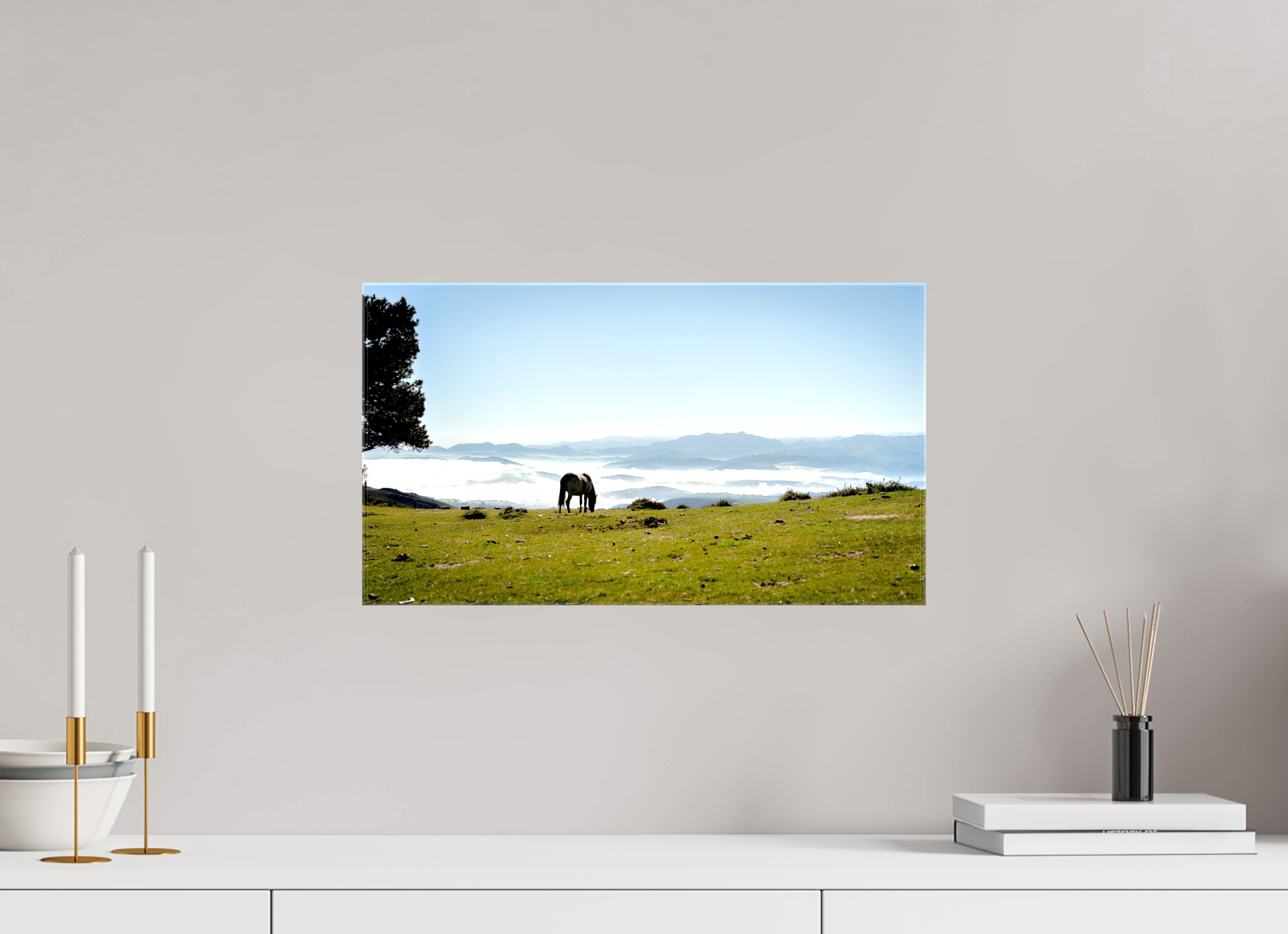 48 x 27 cm, Canvases Unframed A Horse with a View - Spain