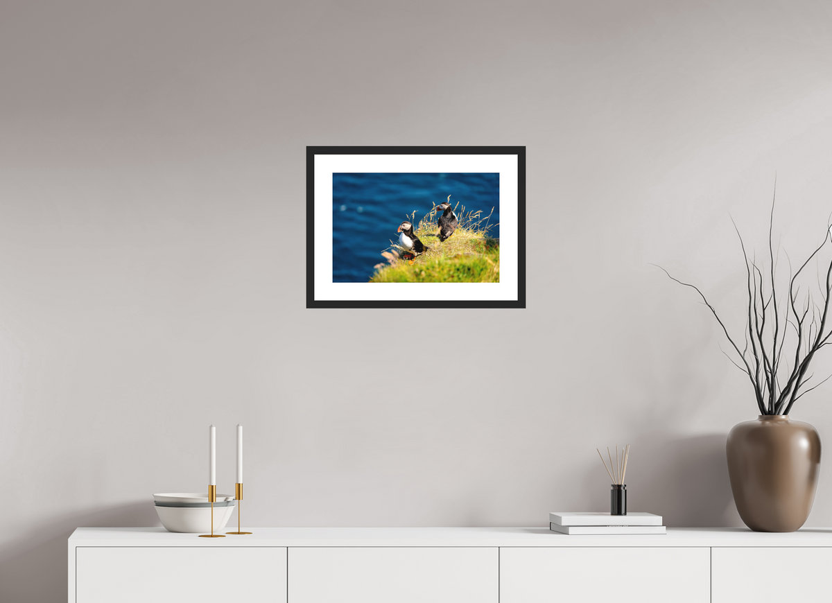 45 x 30 cm, Photo Print On Fuji Crystal DP II Matte Clifftop Puffins