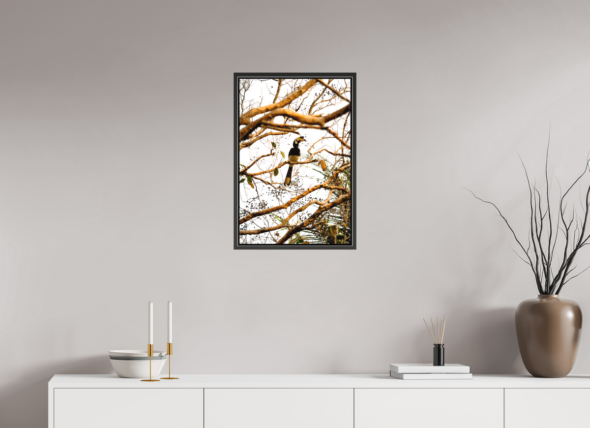 40 x 60 cm, Textile Print Canvas with 15 mm Width Gap Frame Hornbill at Rest