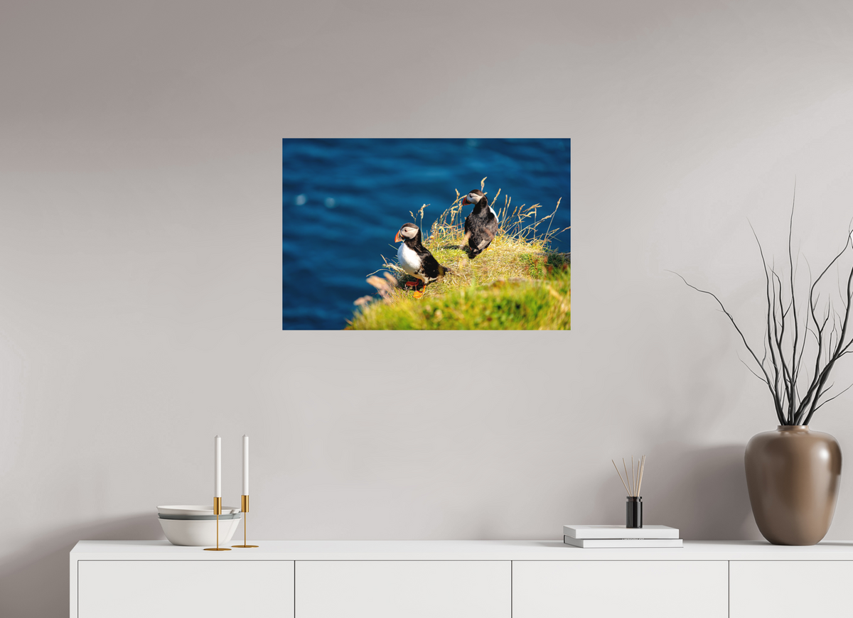 75 x 50 cm, Fine Art Print Smooth Clifftop Puffins