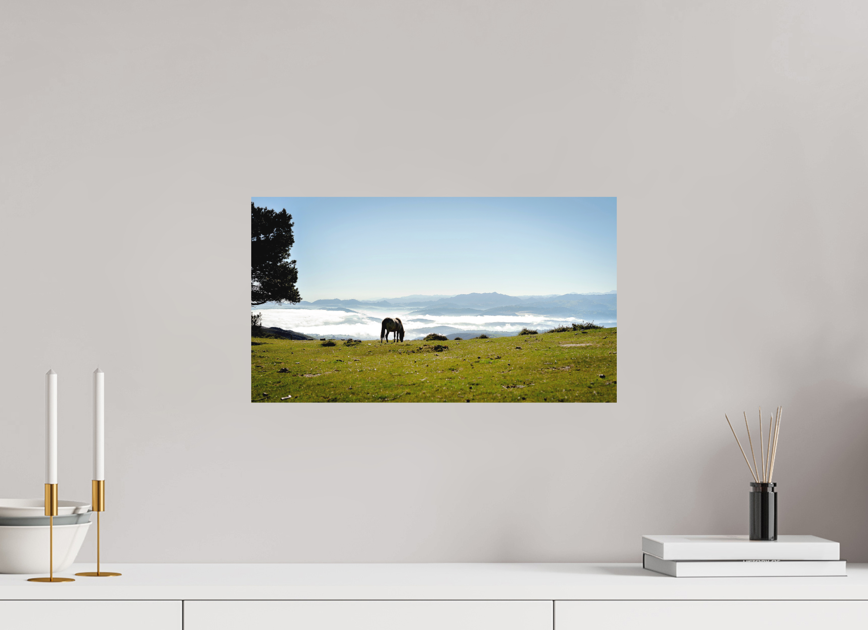 48 x 27 cm, Fine Art Print Smooth A Horse with a View