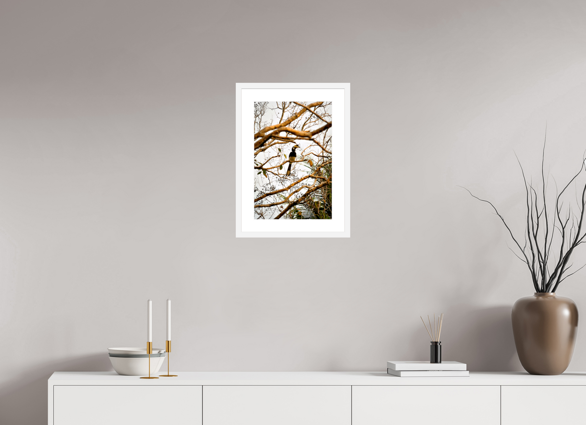 30 x 45 cm, Fine Art Print with Frame Hornbill at Rest