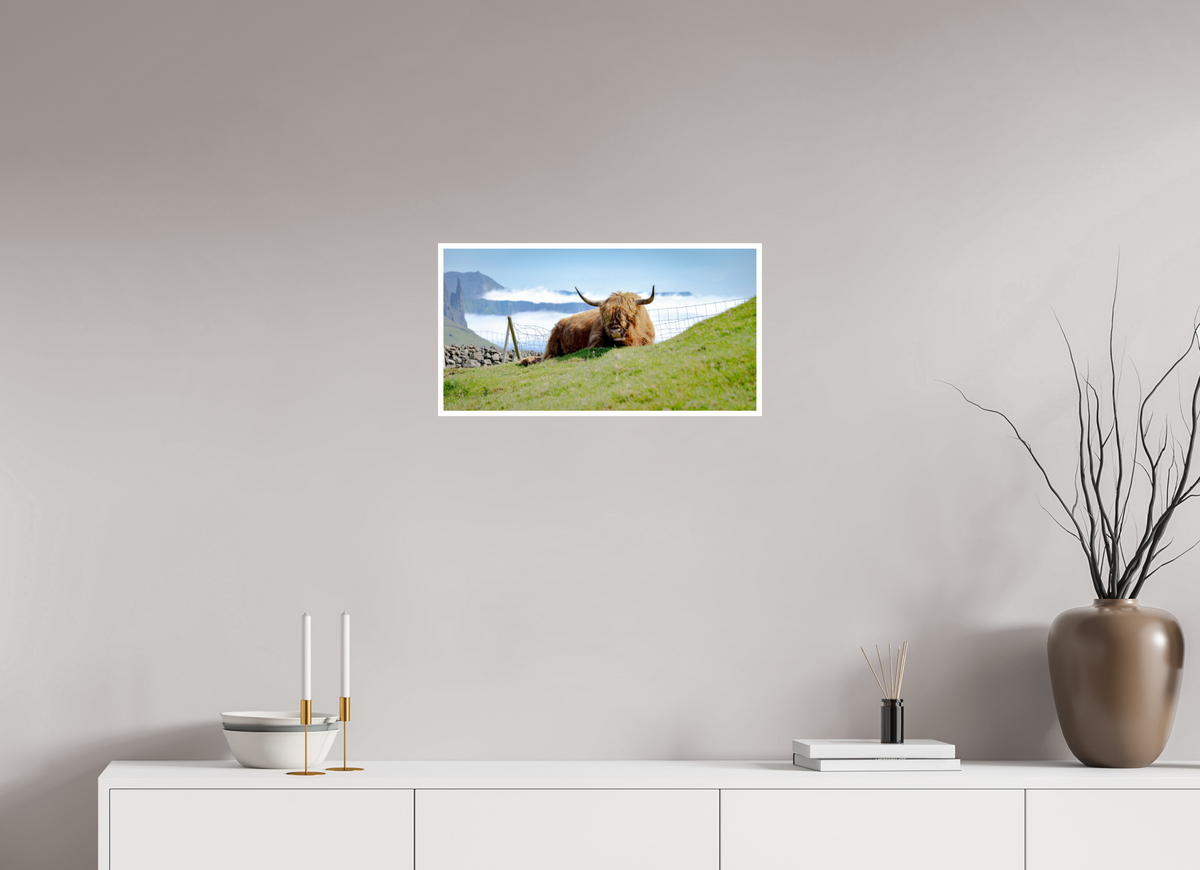 57.9 x 30 cm, Fujiflex High Gloss with 1 cm Border Highland Cow of the Faroe Islands