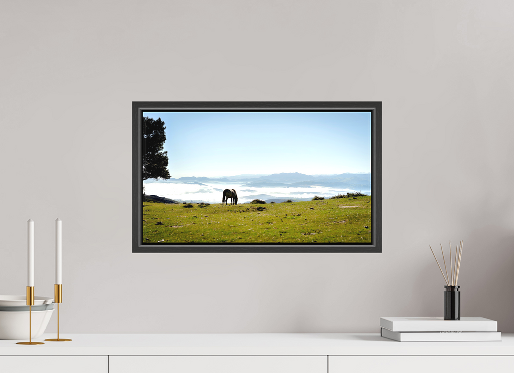 48 x 27 cm, Canvas A Horse with a View - Spain