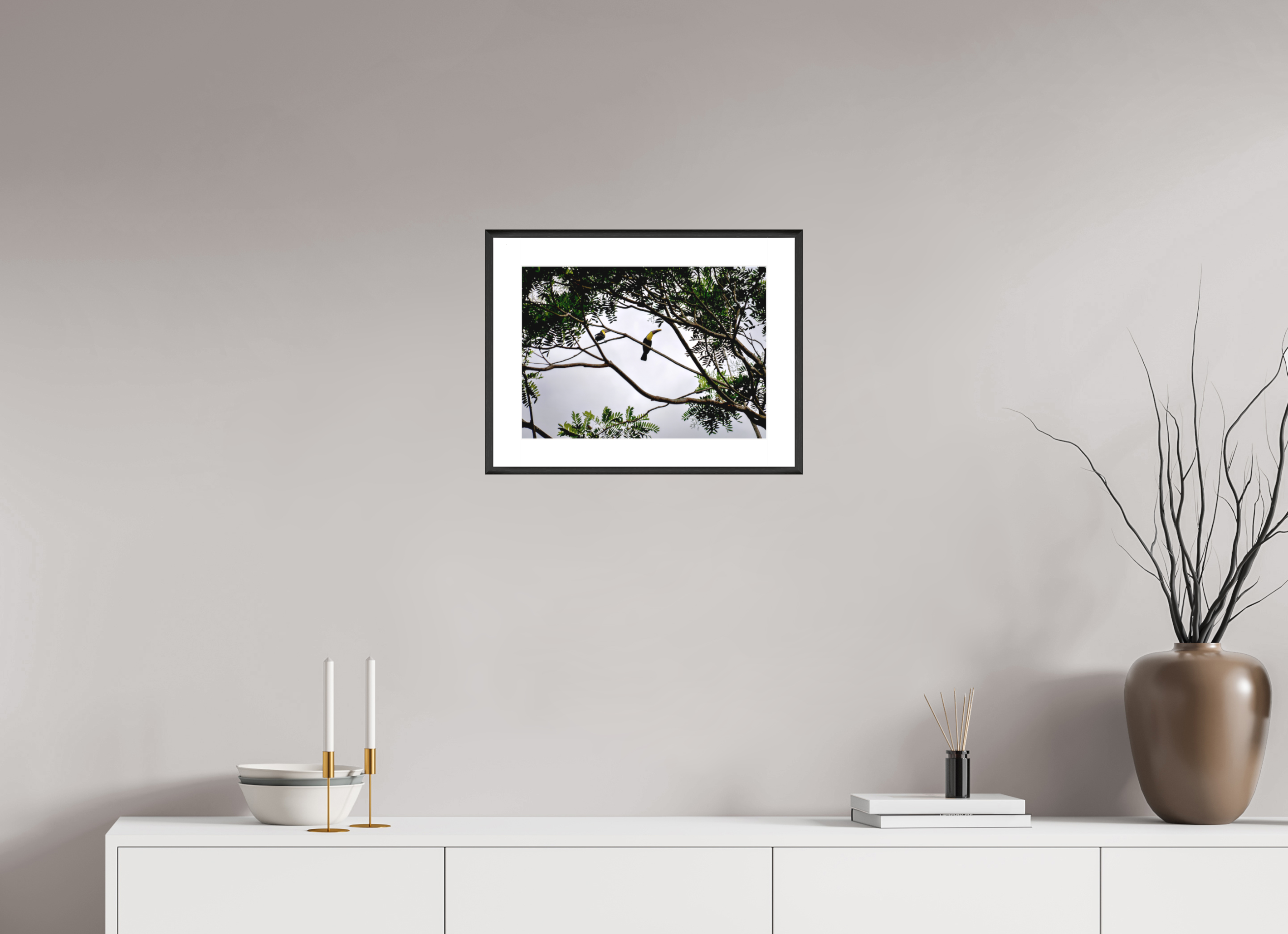 42.3 x 30 cm, Changeable Magnetic Frame - Hahnemühle Fineart Pearl A Hornbill on a Branch