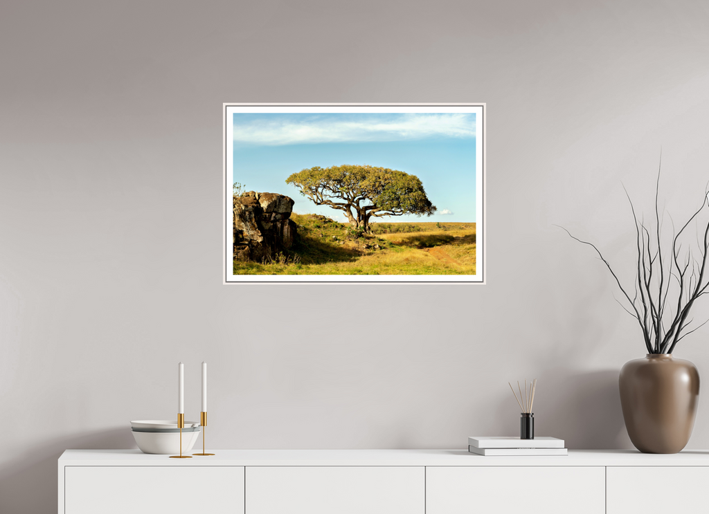 75 x 50 cm, Fine Art Print On Framed Aluminum Dibond Acacia Tree - Masai Mara NP - Kenya