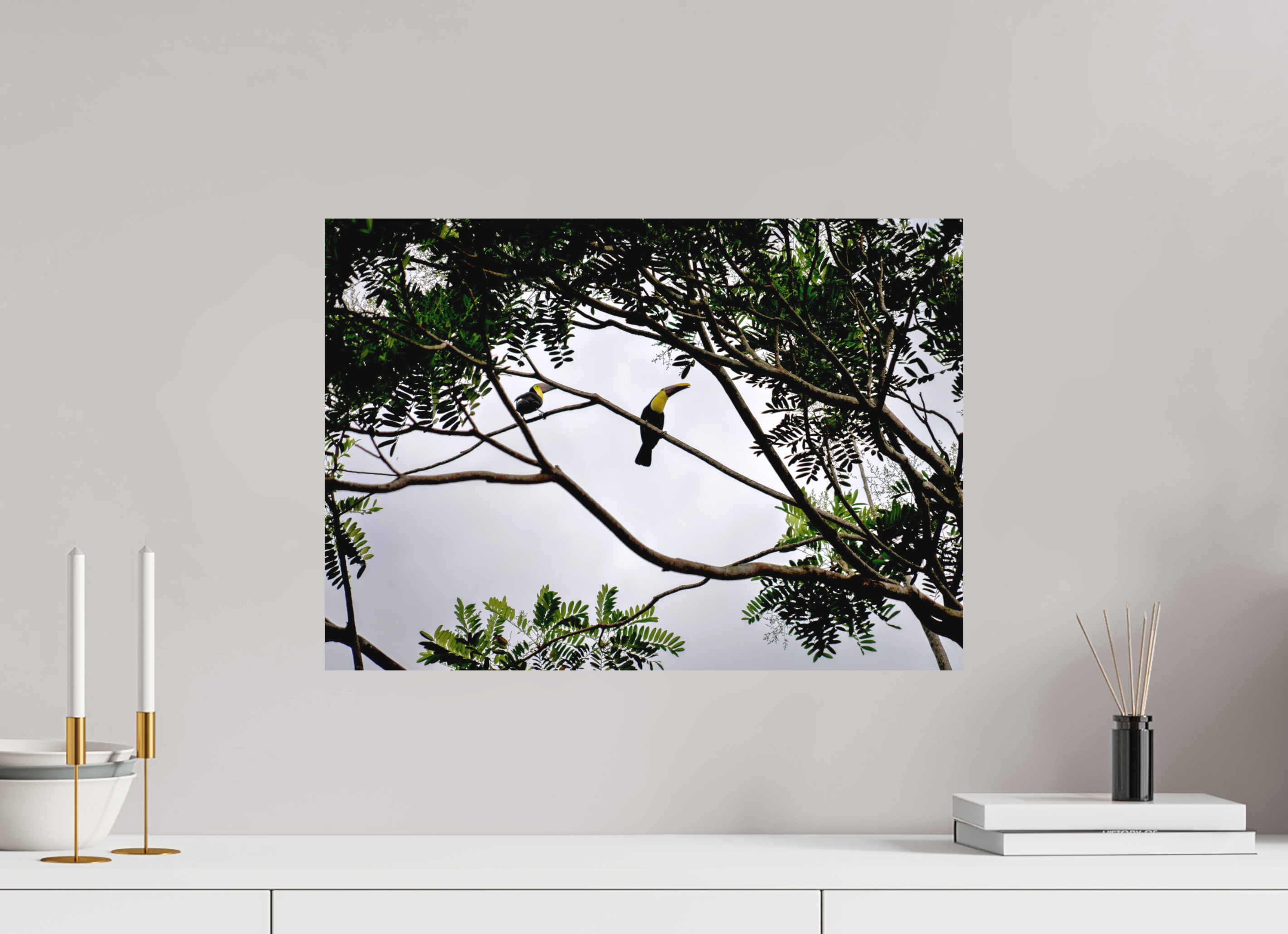 56.5 x 40 cm, Fine Art Print Smooth A Hornbill on a Branch