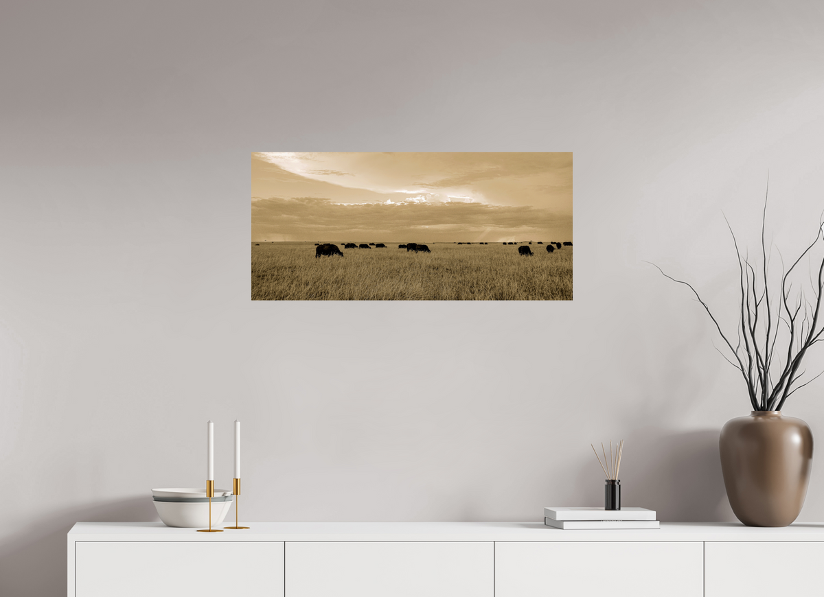 86.6 x 40 cm, Photo Print On Fuji Crystal DP II Grazing Herd of African Buffalo, Masai Mara, Kenya