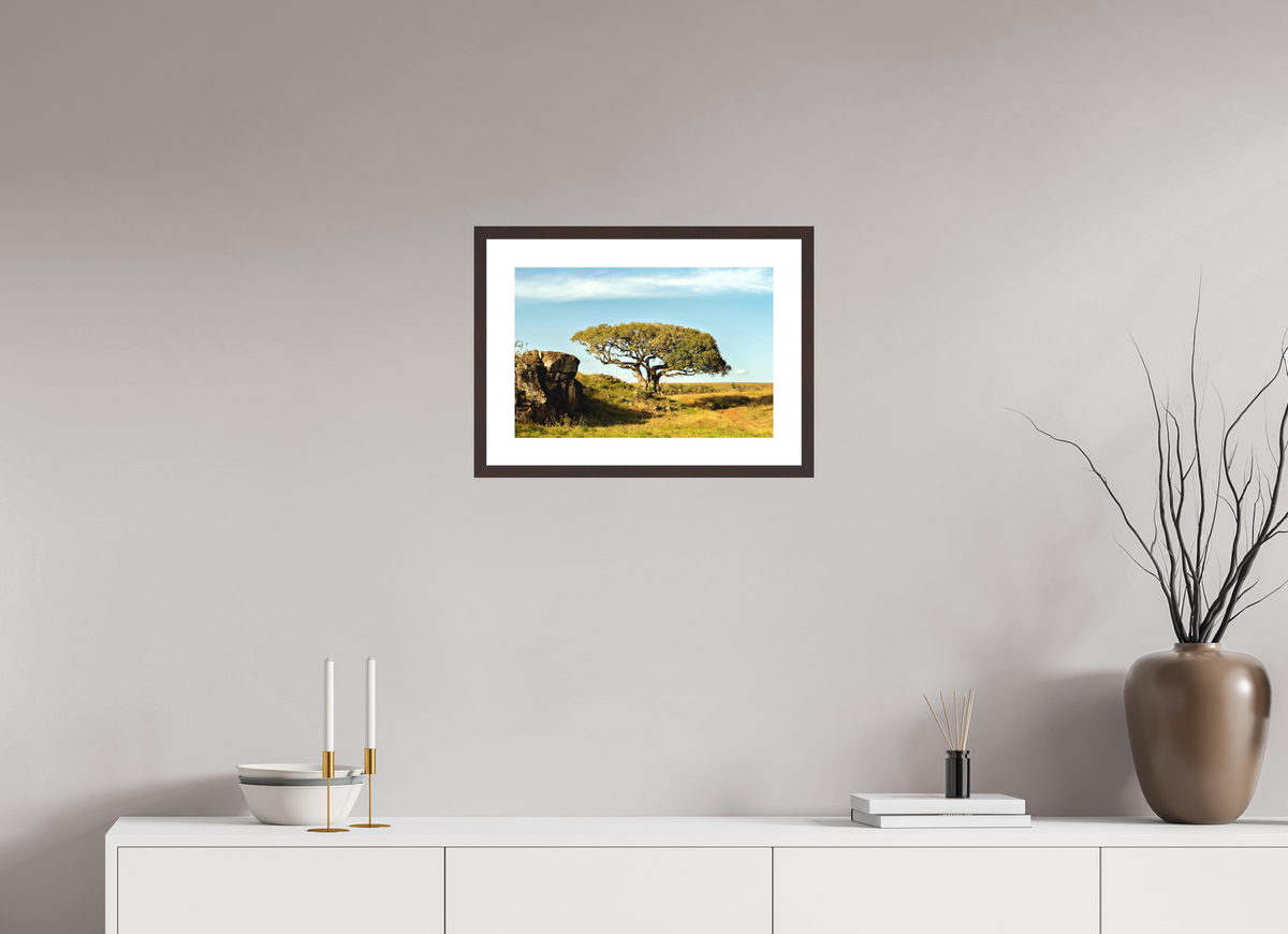 45 x 30 cm, Baryta Prestige II with Matte Float Glass Acacia Tree - Masai Mara NP - Kenya