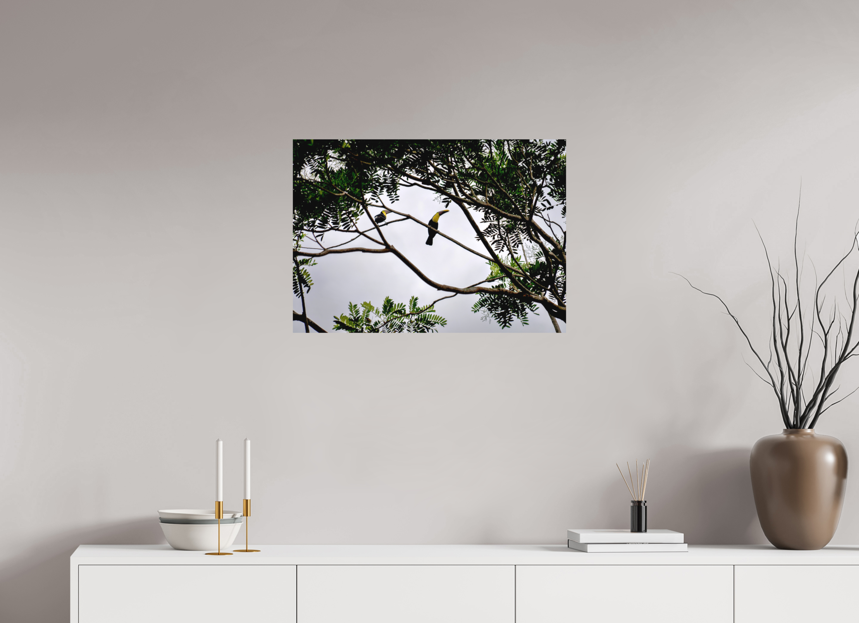 70.6 x 50 cm, Fine Art Print Smooth A Hornbill on a Branch