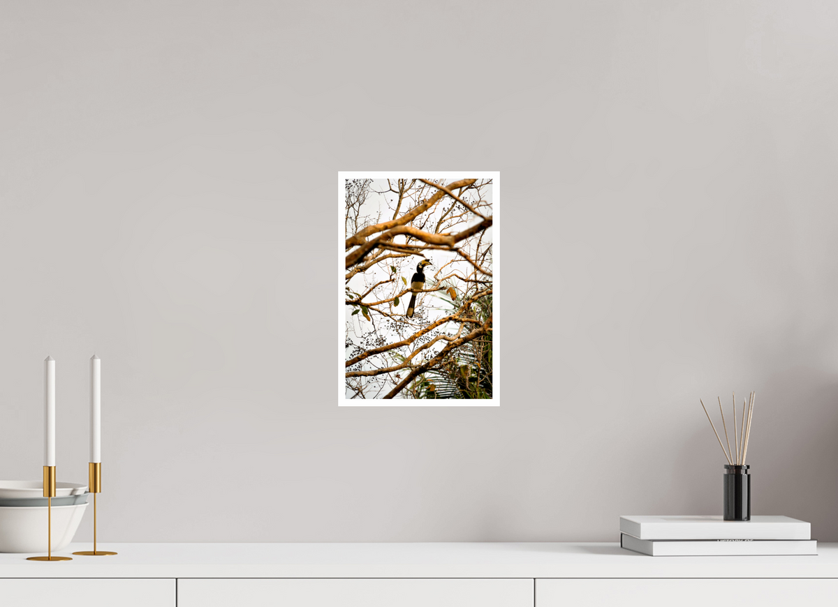 20 x 30 cm, Fujiflex High Gloss with 1 cm Border Hornbill at Rest
