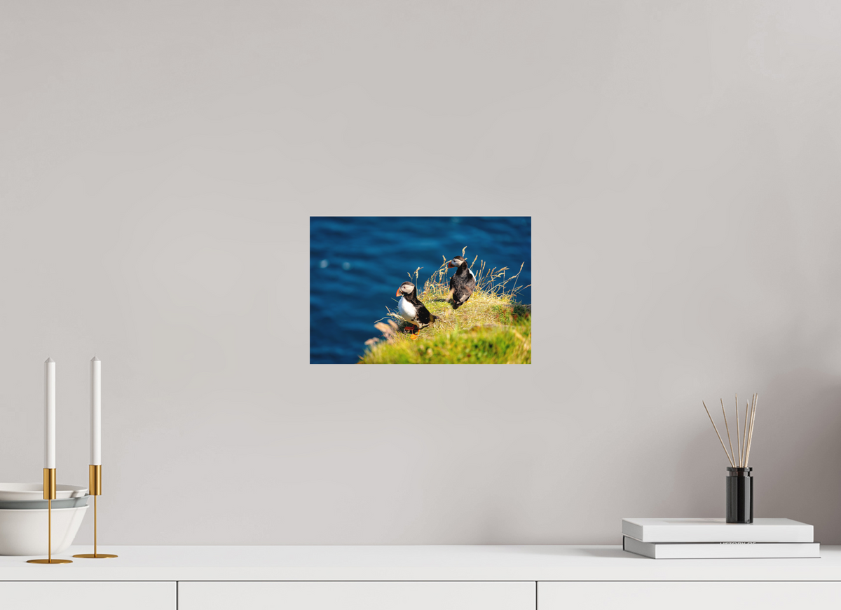 30 x 20 cm, Fine Art Print Smooth Clifftop Puffins