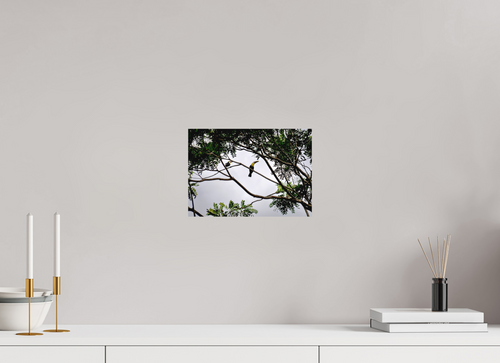 28.2 x 20 cm, Fine Art Print Smooth A Hornbill on a Branch