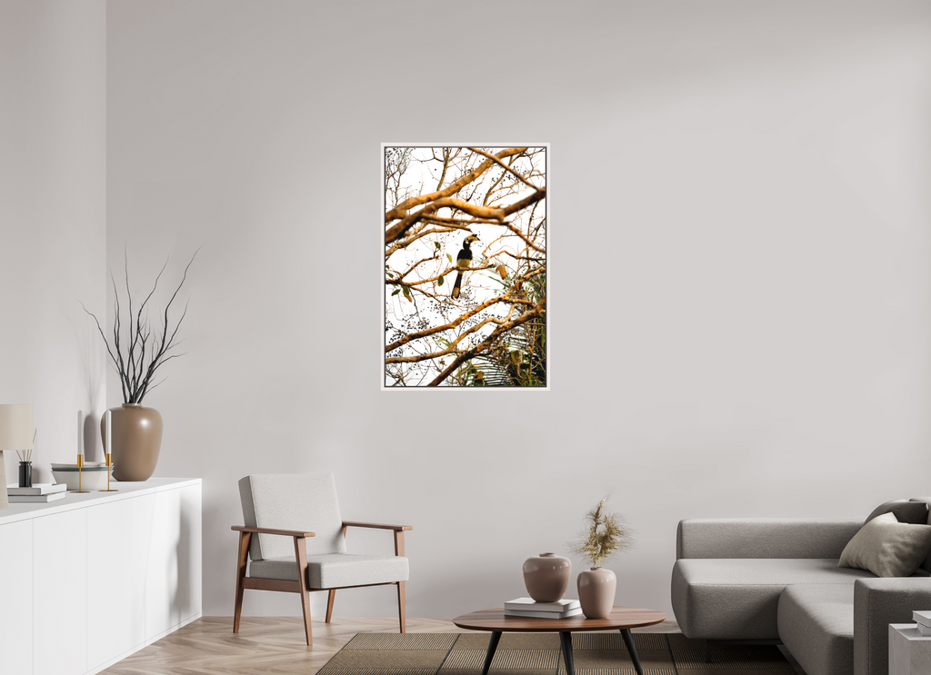 70 x 105 cm, Matte Canvas 15 mm Frame Hornbill at Rest