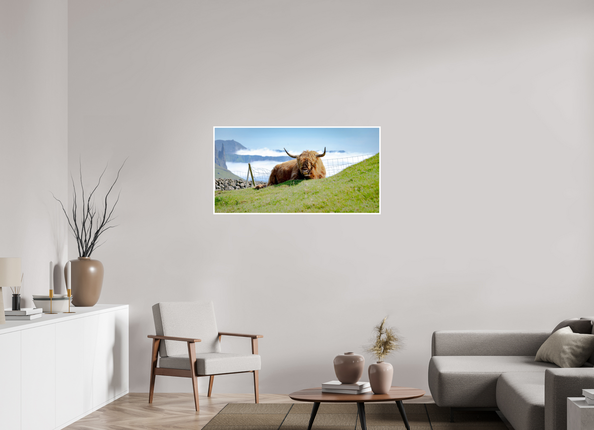 115.8 x 60 cm, Fujiflex High Gloss with 1 cm Border Highland Cow of the Faroe Islands