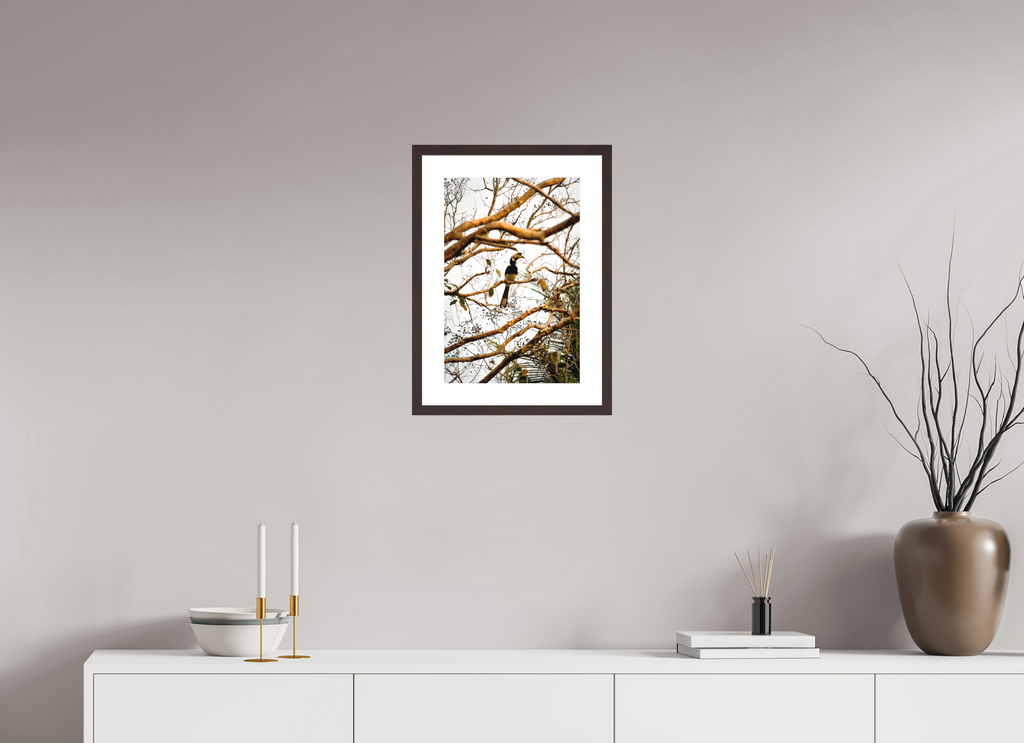 30 x 45 cm, Baryta Prestige II with Matte Float Glass Hornbill at Rest