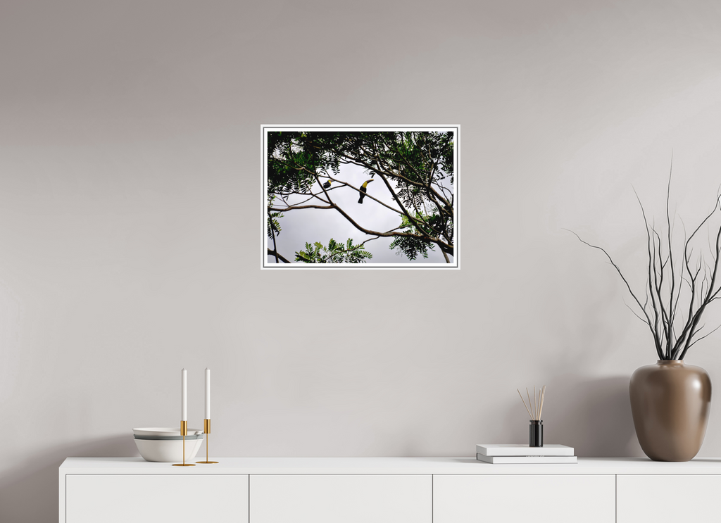 56.5 x 40 cm, Print on Forex with Frame A Hornbill on a Branch