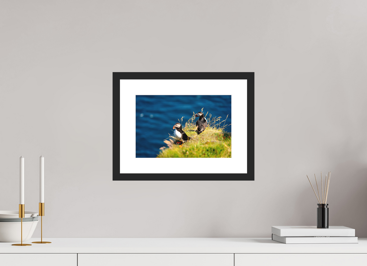 30 x 20 cm, Photo Print On Fuji Crystal DP II Matte Clifftop Puffins