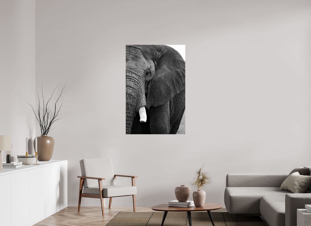 80 x 120 cm, Monochrome Glossy Print on Ilford Paper The Hidden Side of the Elephant