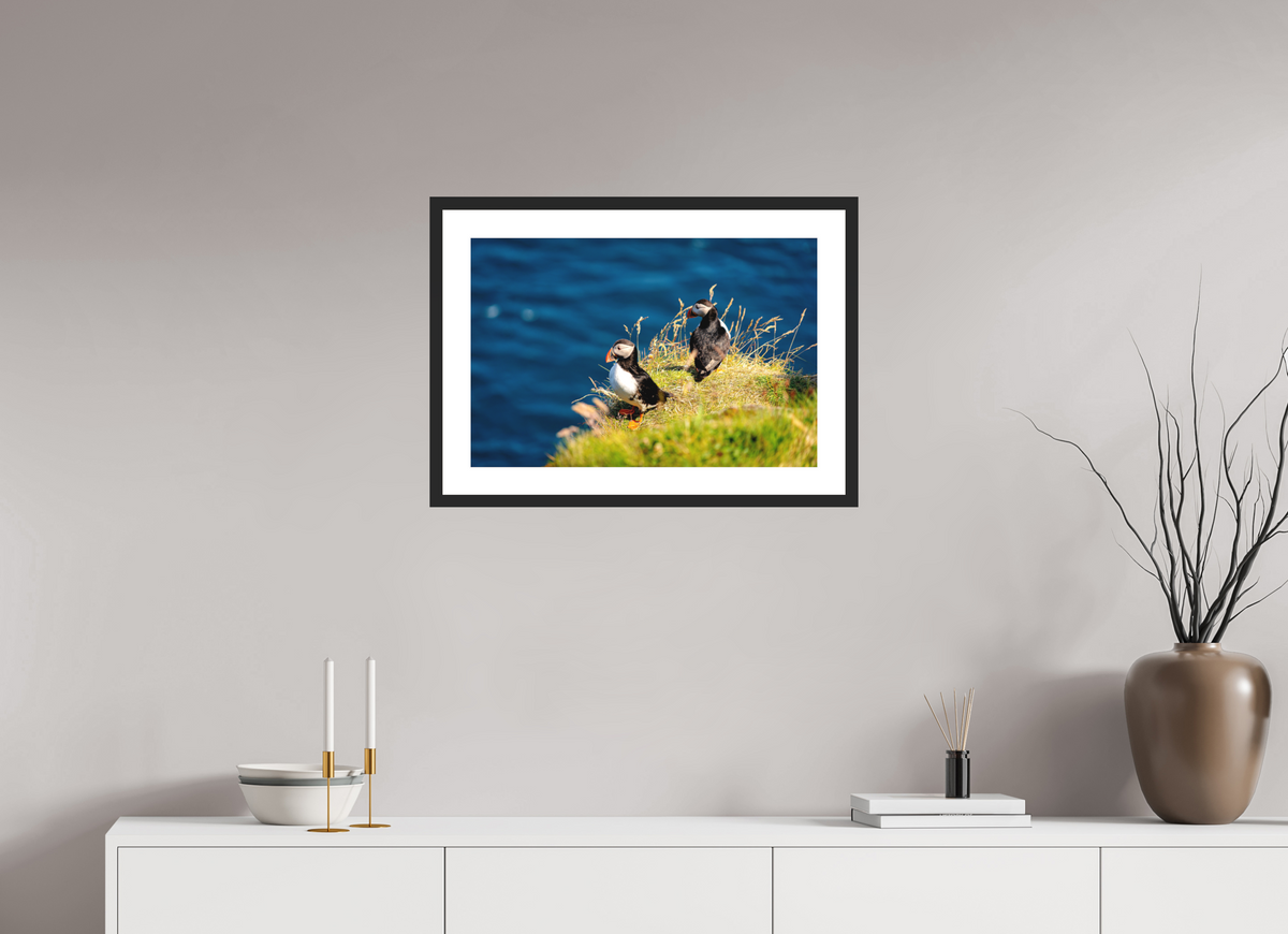 60 x 40 cm, Photo Print On Fuji Crystal DP II Matte Clifftop Puffins