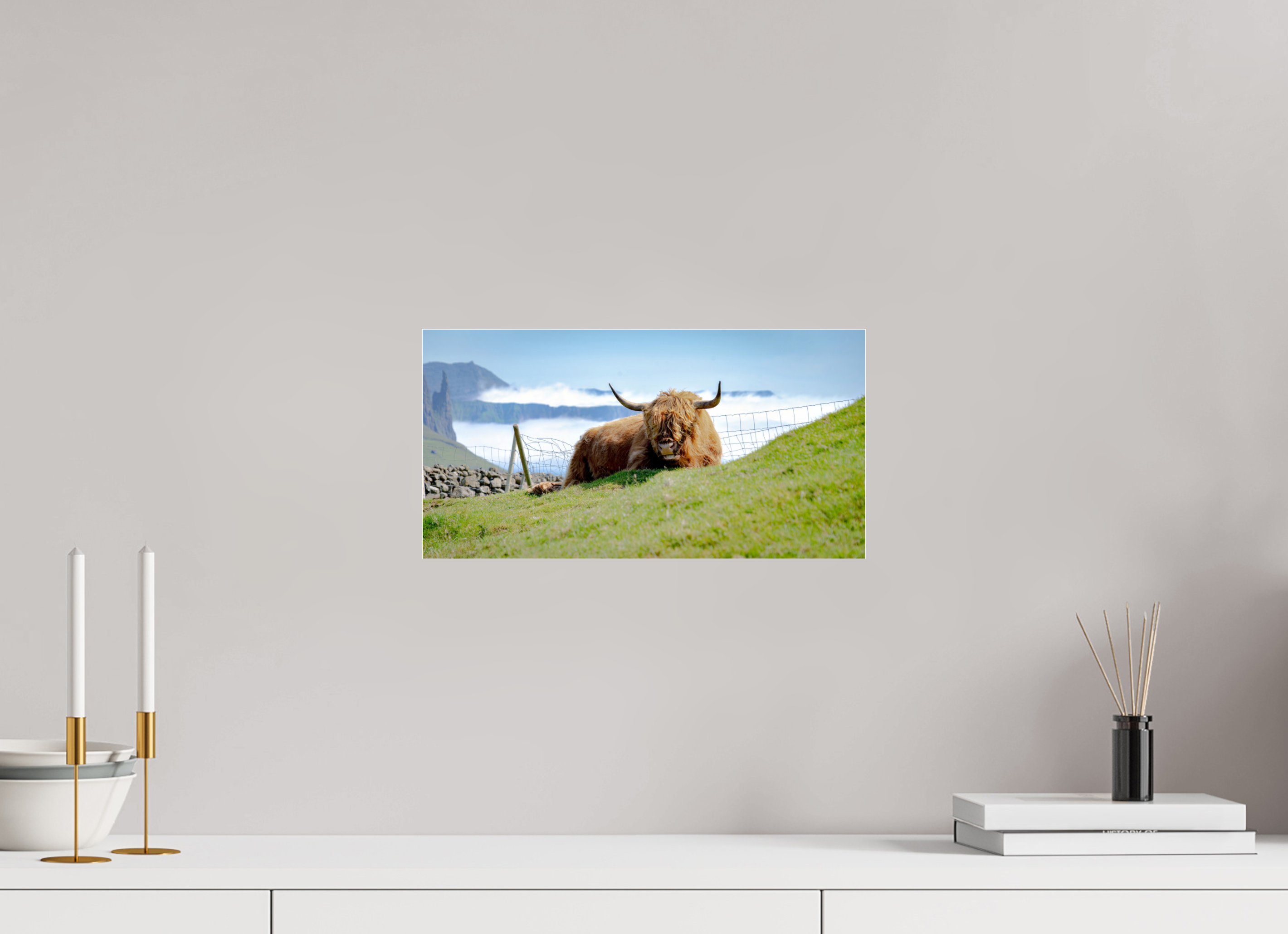38.6 x 20 cm, Photo Print Under Acrylic Glass Highland Cow of the Faroe Islands