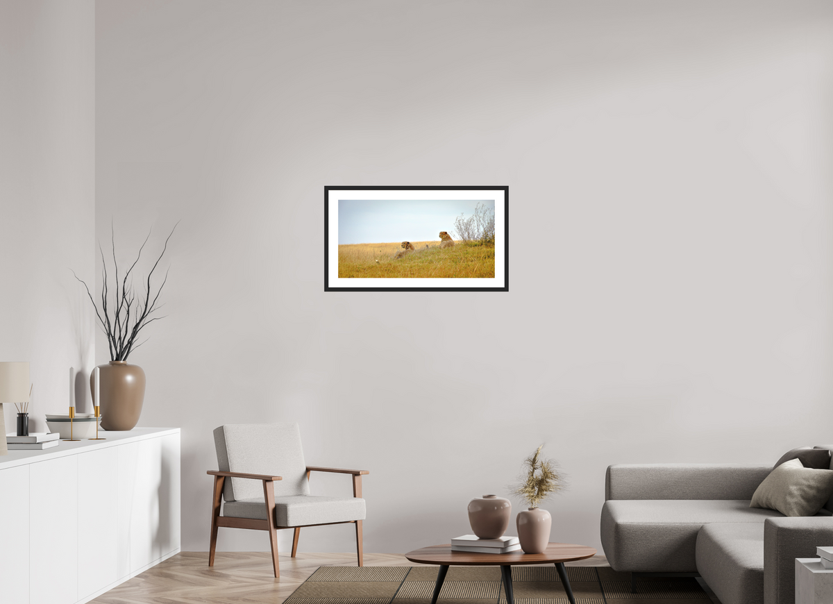 79.1 x 40 cm, Photo Print On Fuji Crystal DP II Matte Cheetah Connection