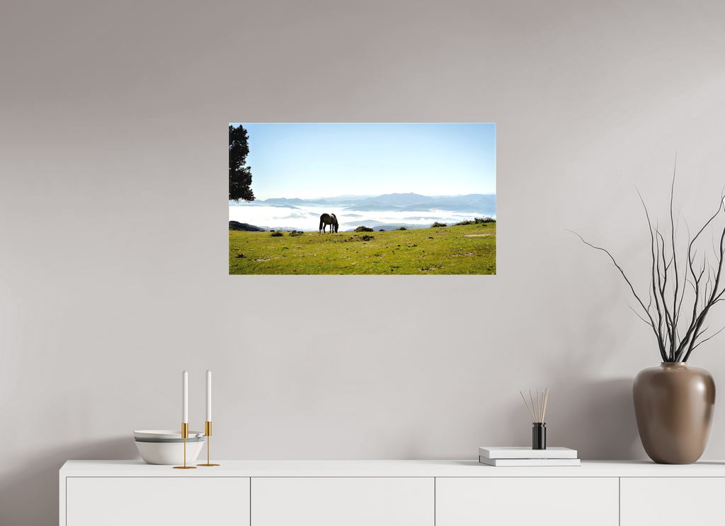 80 x 45 cm, Matte Canvas on Stretcher Frame A Horse with a View - Spain