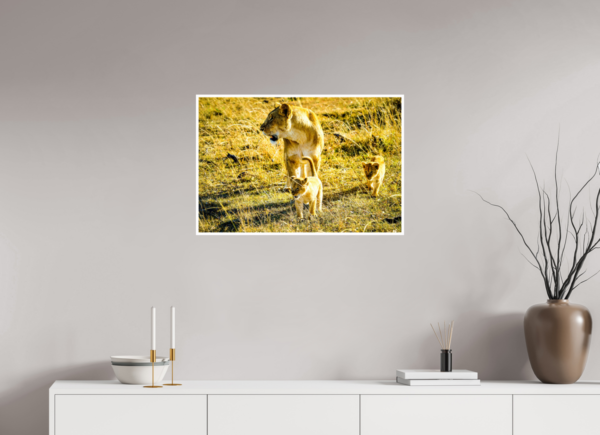 75 x 50 cm, Fujiflex High Gloss with 1 cm Border Savanna Legacy
