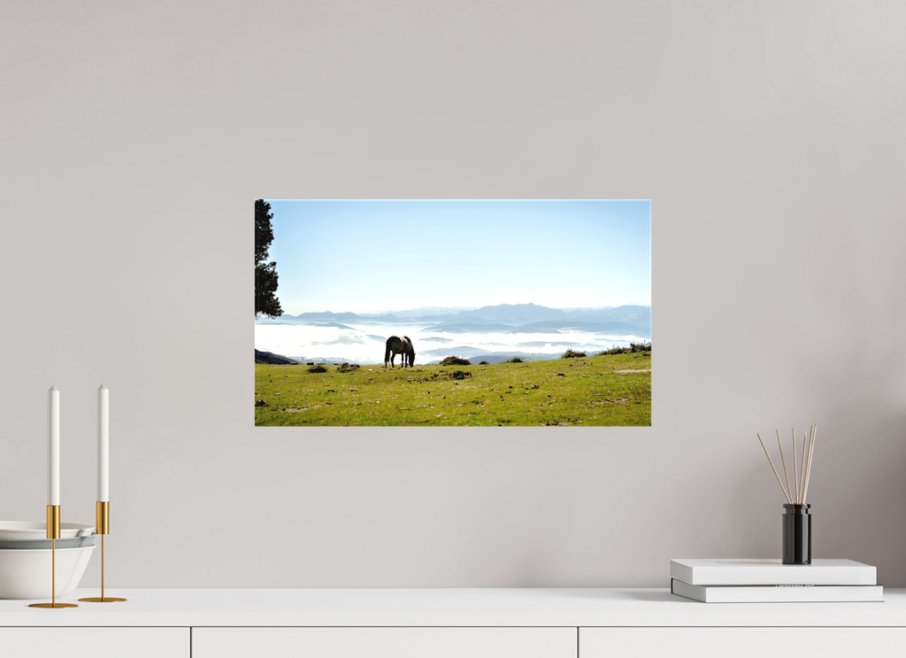 48 x 27 cm, Matte Canvas on Stretcher Frame A Horse with a View - Spain