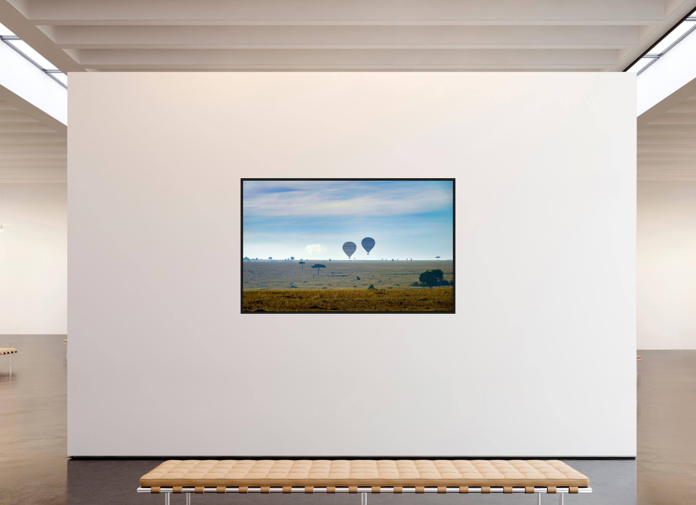 192.9 x 120 cm, Floater Frame Hot-air Balloon over the Savanna
