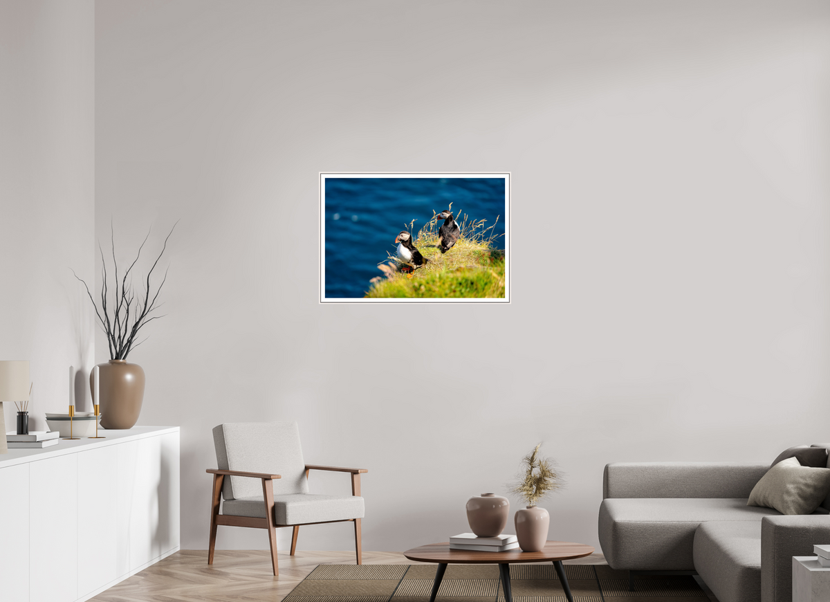 90 x 60 cm, Fine Art Print On Framed Aluminum Dibond Clifftop Puffins