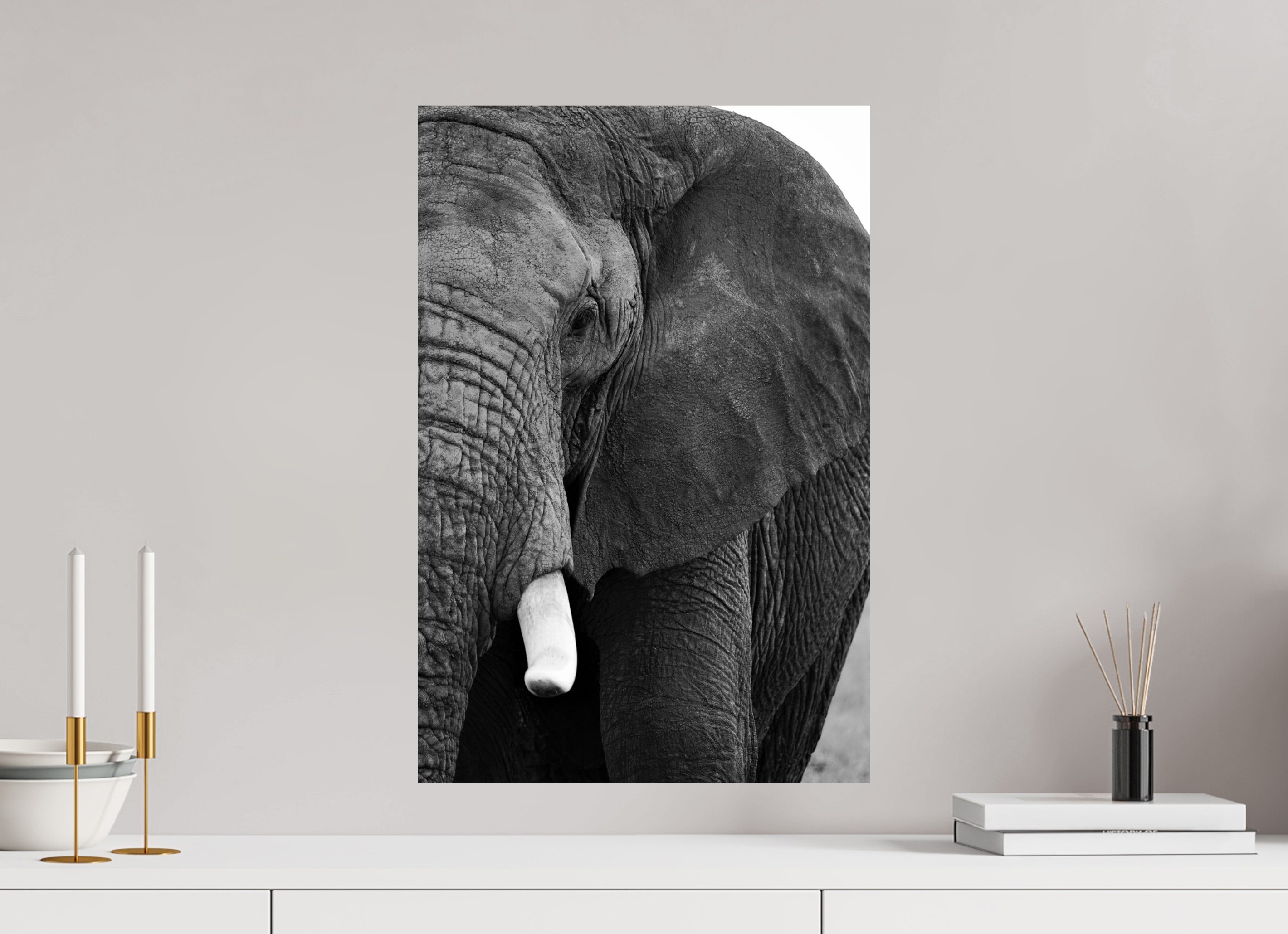 40 x 60 cm, Photo Print on Ilford Baryta Paper B&W The Hidden Side of the Elephant