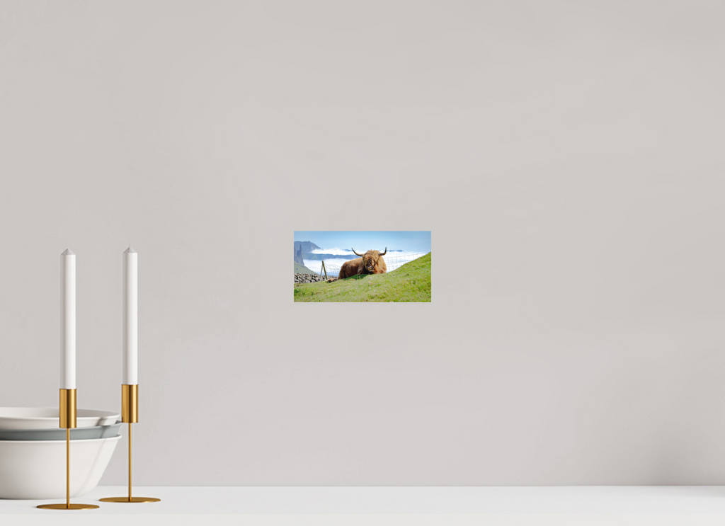 19.3 x 10 cm, Fine Art Print Smooth Highland Cow of the Faroe Islands