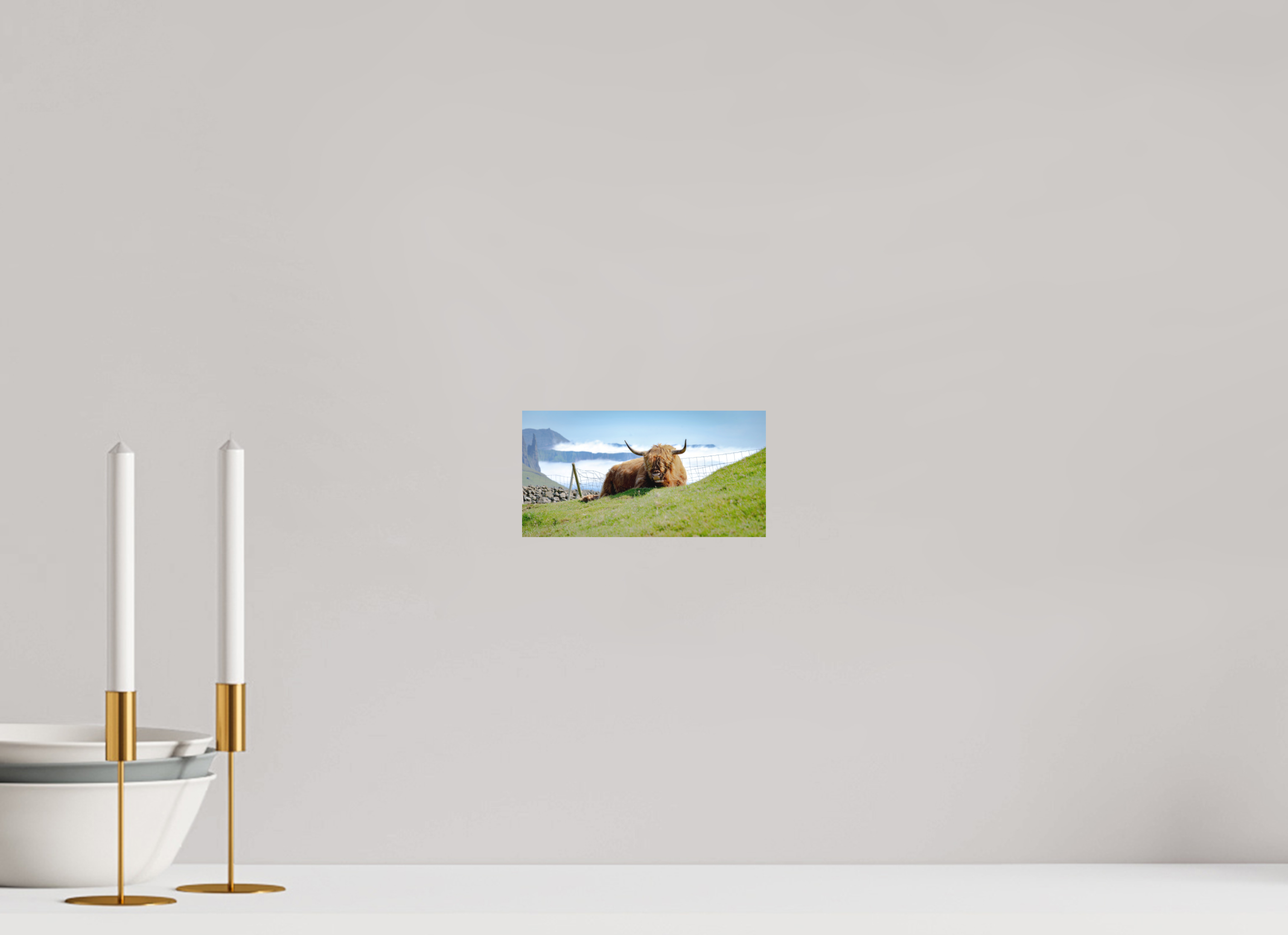 19.3 x 10 cm, Fine Art Print Smooth Highland Cow of the Faroe Islands