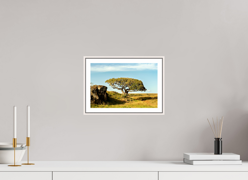 30 x 20 cm, Fine Art Print On Framed Aluminum Dibond Acacia Tree - Masai Mara NP - Kenya