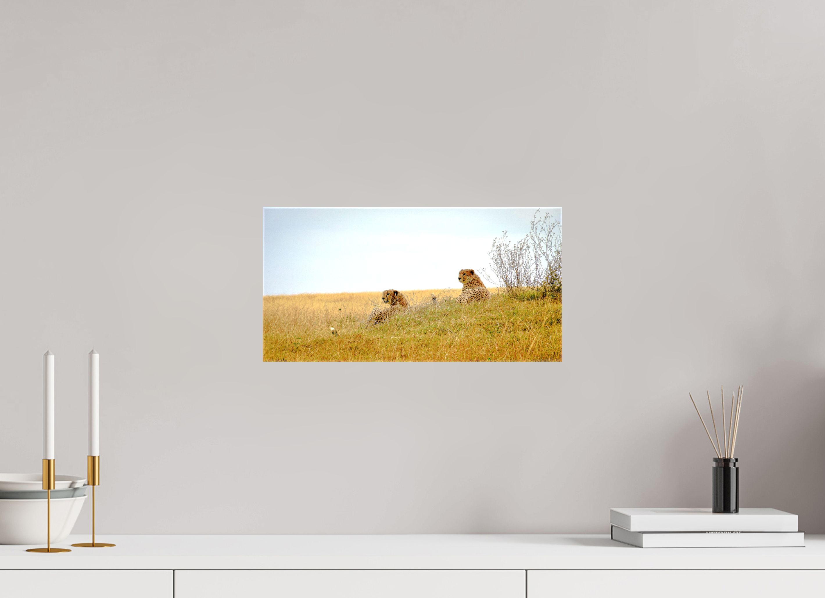 39.6 x 20 cm, Canvases Unframed Cheetah Connection