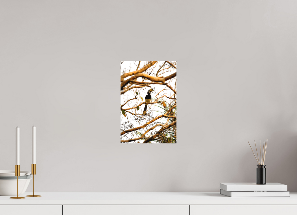 20 x 30 cm, Matte Canvas on Stretcher Frame Hornbill at Rest