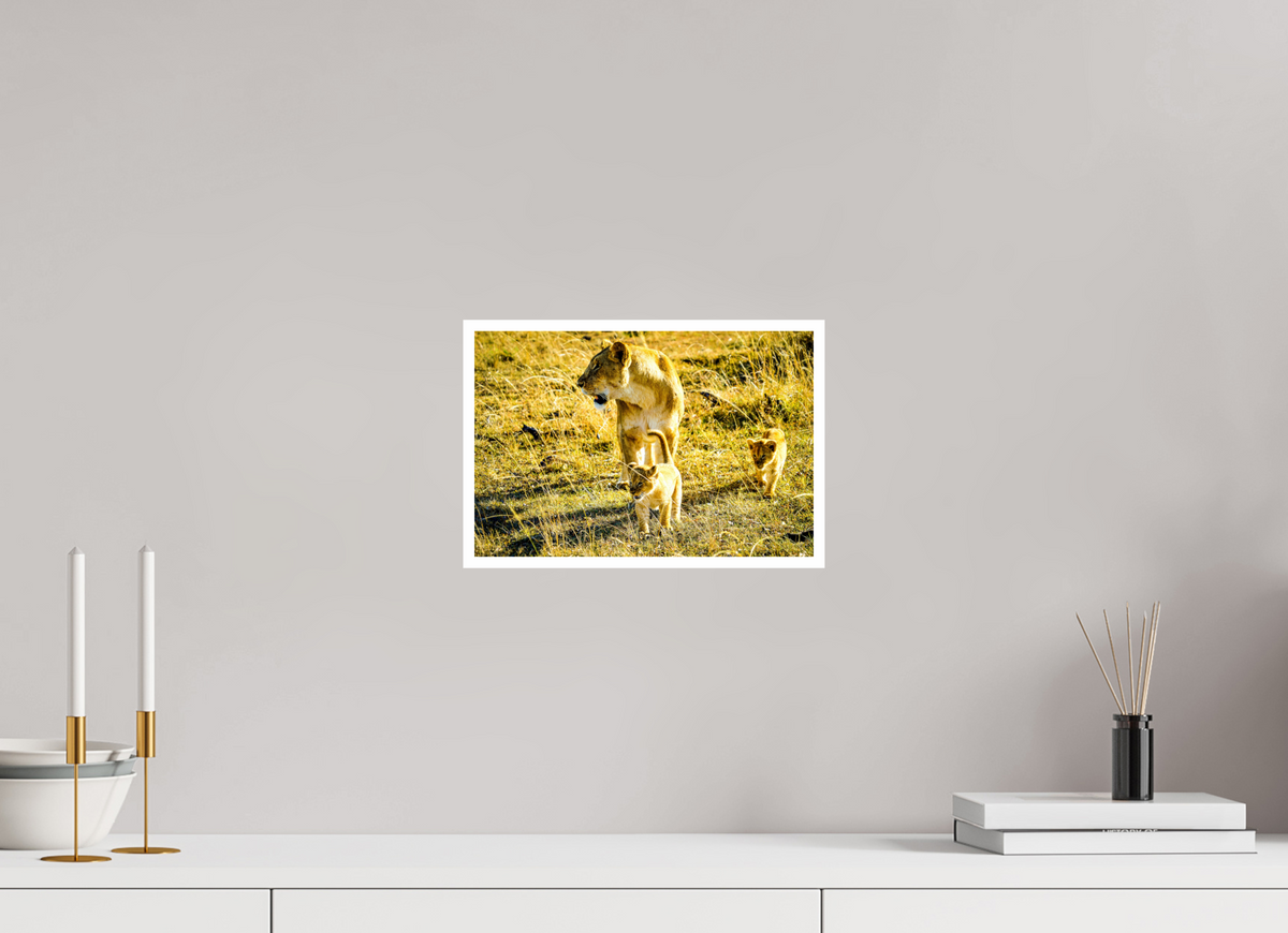 30 x 20 cm, Fujiflex High Gloss with 1 cm Border Savanna Legacy