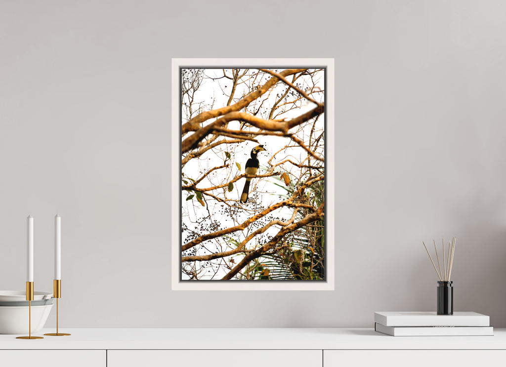 30 x 45 cm, Matte Canvas 15 mm Frame Hornbill at Rest