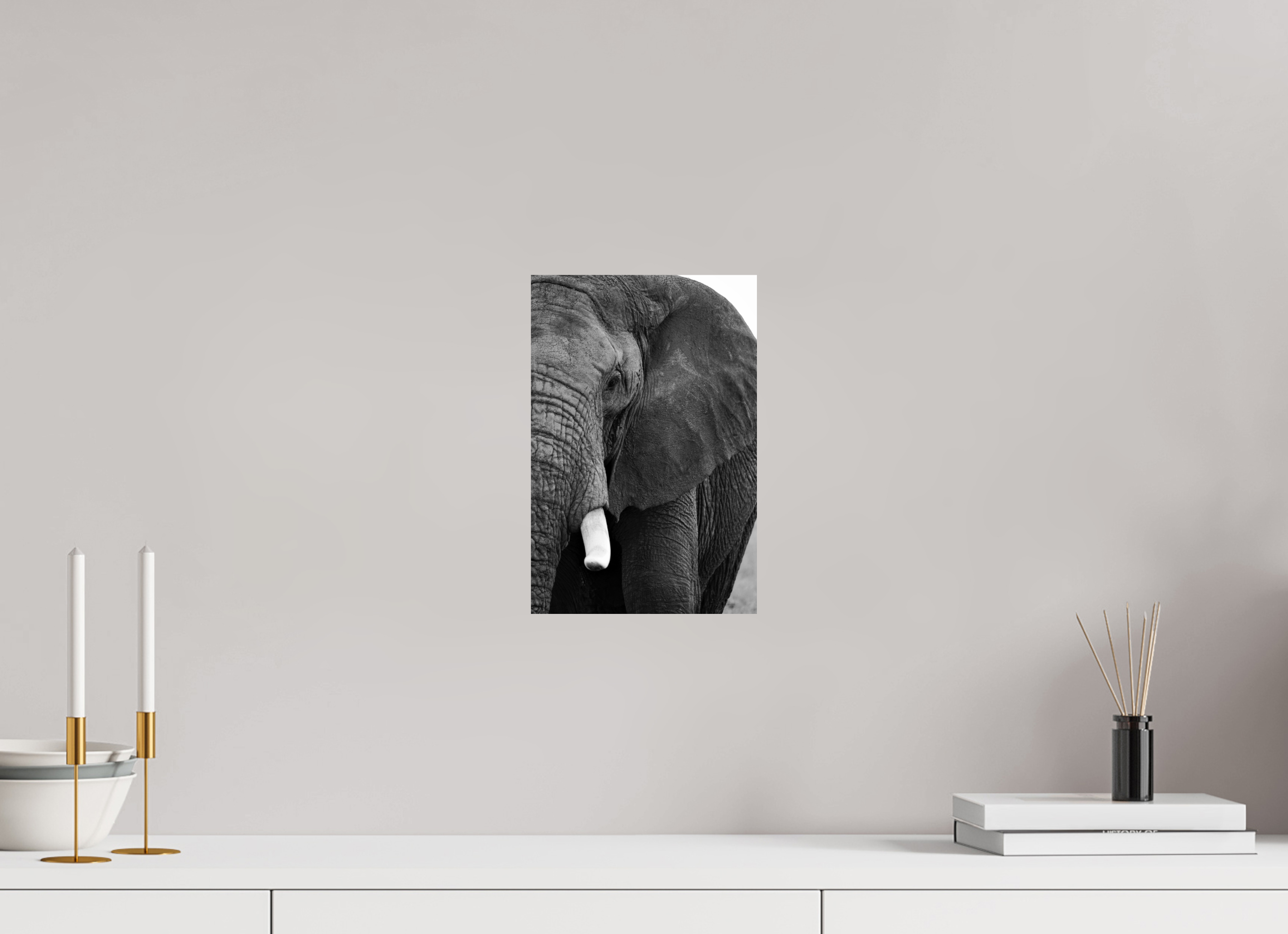 20 x 30 cm, Photo Print on Ilford Baryta Paper B&W The Hidden Side of the Elephant
