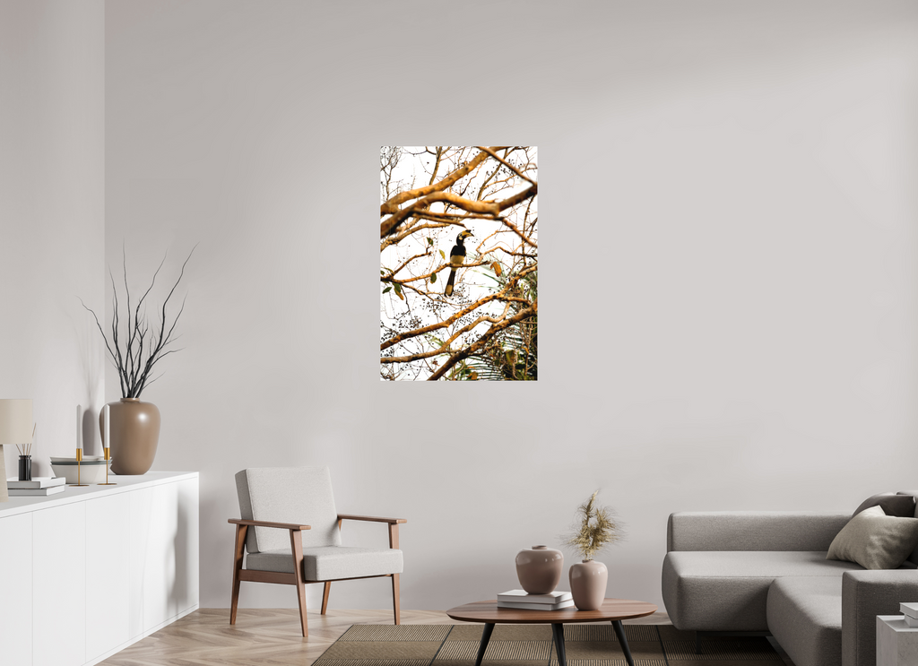 70 x 105 cm, Matte Canvas on Stretcher Frame Hornbill at Rest