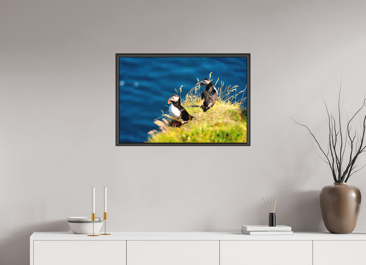 75 x 50 cm, Matte Canvas on 20 mm Stretcher Frame Clifftop Puffins