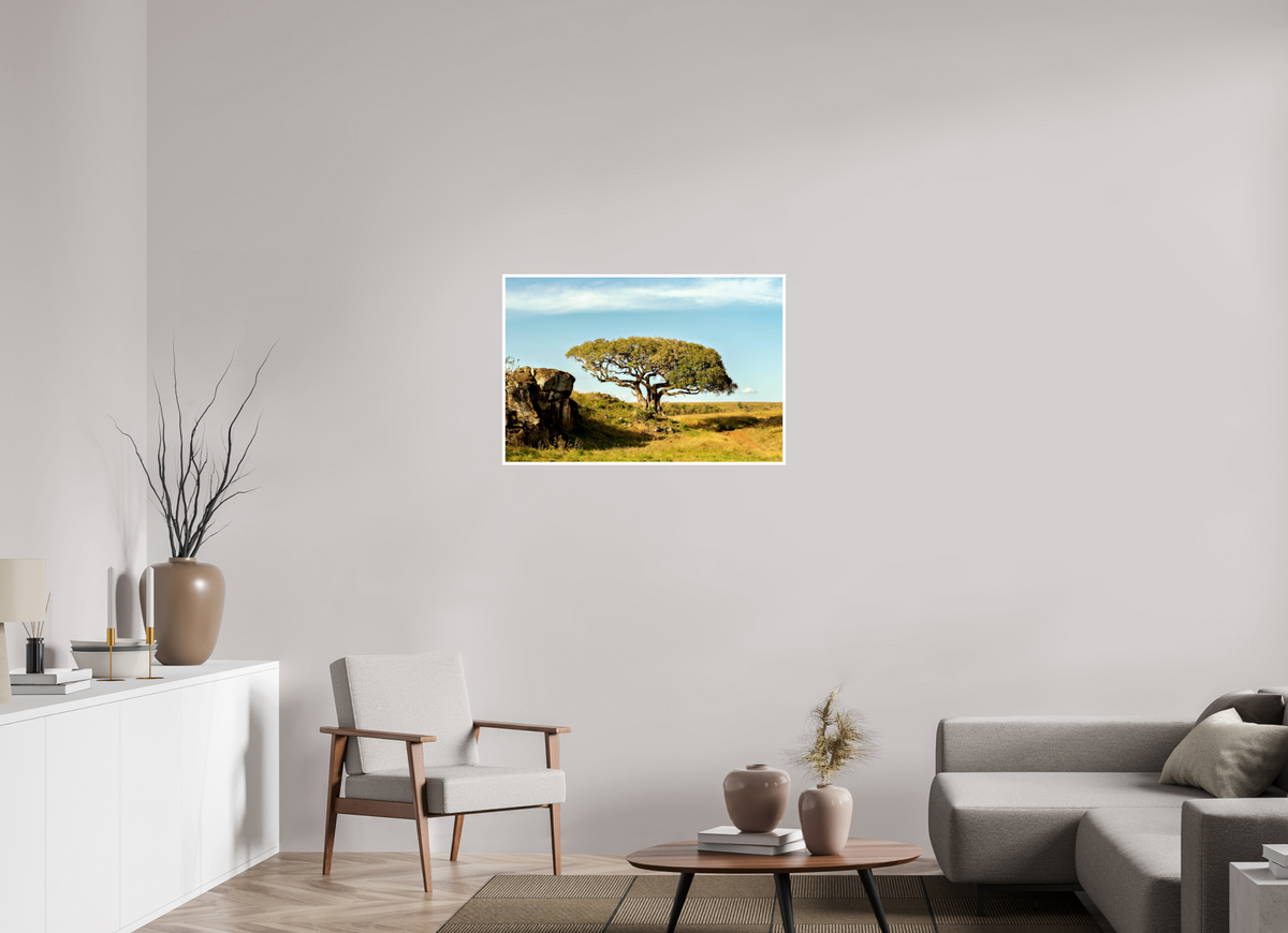 90 x 60 cm, Fujiflex High Gloss with 1 cm Border Acacia Tree - Masai Mara NP - Kenya