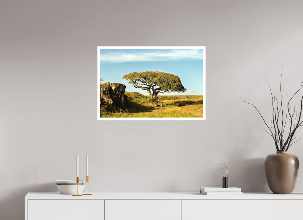 75 x 50 cm, Print on Forex with Mounting Acacia Tree - Masai Mara NP - Kenya