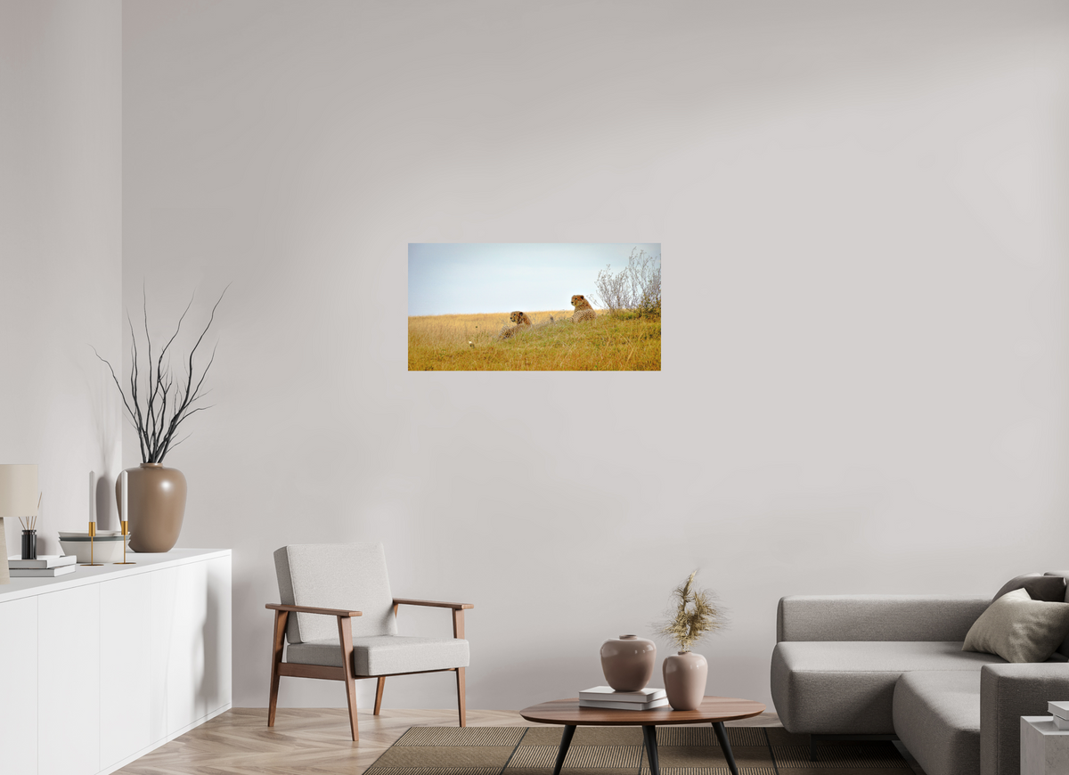 98.9 x 50 cm, Fine Art Print Smooth Cheetah Connection