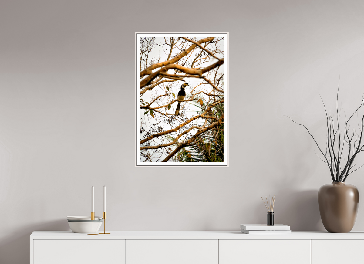 50 x 75 cm, Fine Art Print On Framed Aluminum Dibond Hornbill at Rest