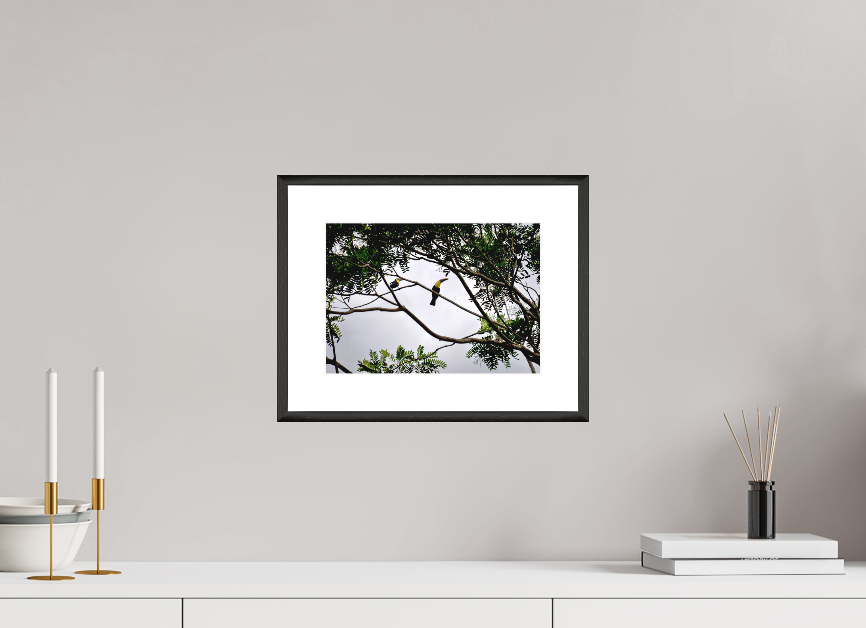 28.2 x 20 cm, Changeable Magnetic Frame - Hahnemühle Fineart Pearl A Hornbill on a Branch